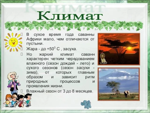 Климат В сухое время года саванны Африки мало, чем отличаются от пустыни.