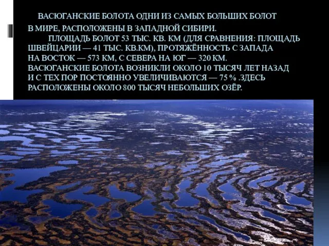 Васюганские болота одни из самых больших болот в мире, расположены в Западной