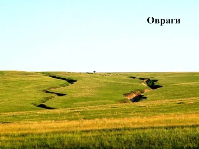 Овраги