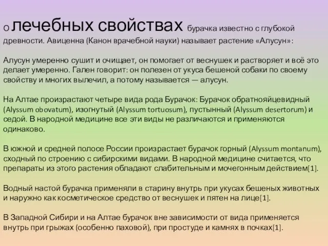 О лечебных свойствах бурачка известно с глубокой древности. Авиценна (Канон врачебной науки)