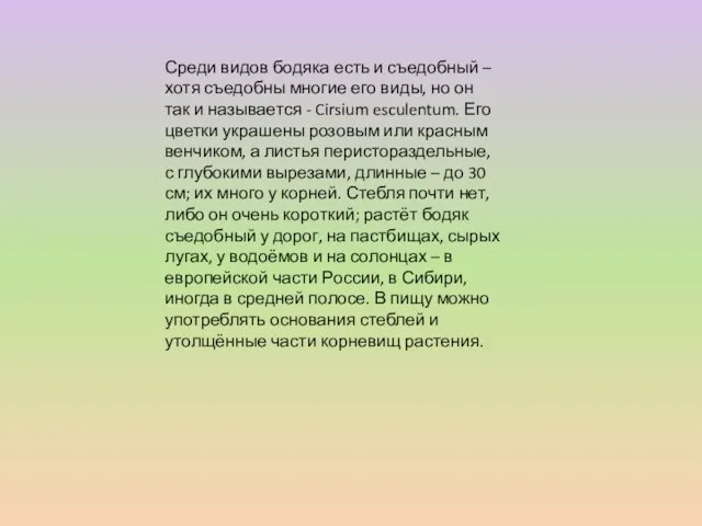 Среди видов бодяка есть и съедобный – хотя съедобны многие его виды,