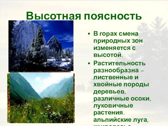 Высотная поясность В горах смена природных зон изменяется с высотой. Растительность разнообразна