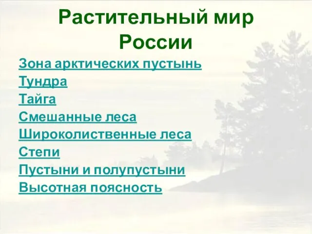 Растительный мир России Зона арктических пустынь Тундра Тайга Смешанные леса Широколиственные леса