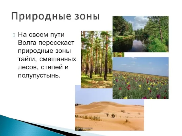 На своем пути Волга пересекает природные зоны тайги, смешанных лесов, степей и полупустынь.