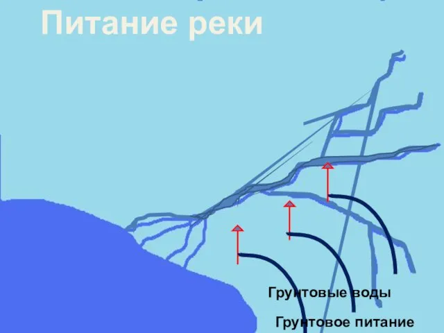 Питание реки Грунтовые воды Грунтовое питание