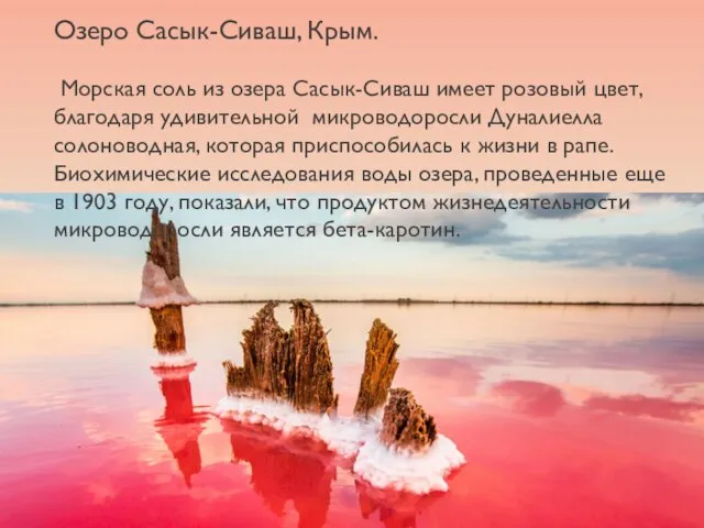 Озеро Сасык-Сиваш, Крым. Морская соль из озера Сасык-Сиваш имеет розовый цвет, благодаря