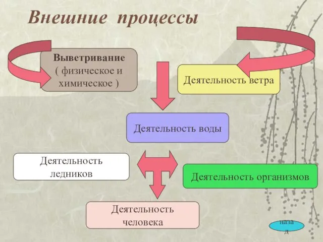 Внешние процессы Выветривание ( физическое и химическое ) Деятельность воды Деятельность ветра