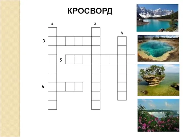 3 1 4 2 5 6 КРОСВОРД