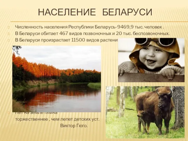 Население Беларуси Численность населения Республики Беларусь-9469,9 тыс. человек . В Беларуси обитает