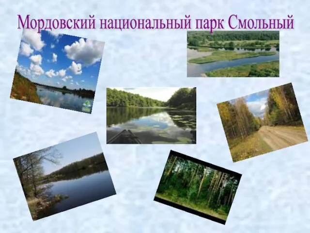 Мордовский национальный парк Смольный