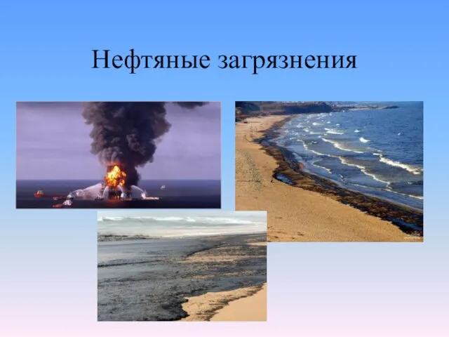 Нефтяные загрязнения