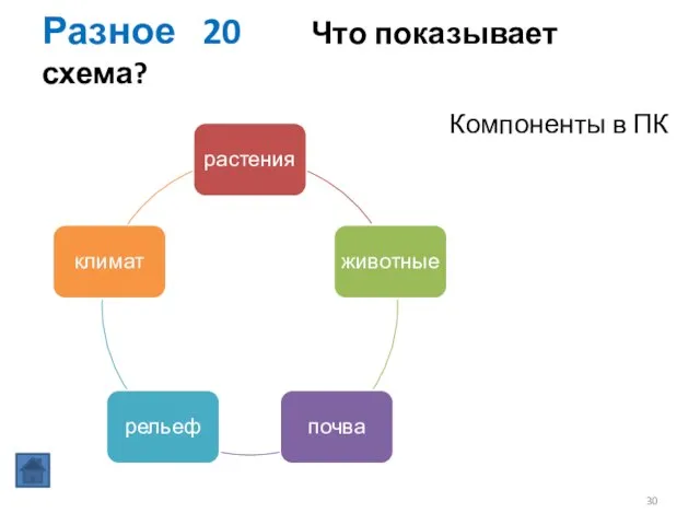 Разное 20 Что показывает схема? Компоненты в ПК