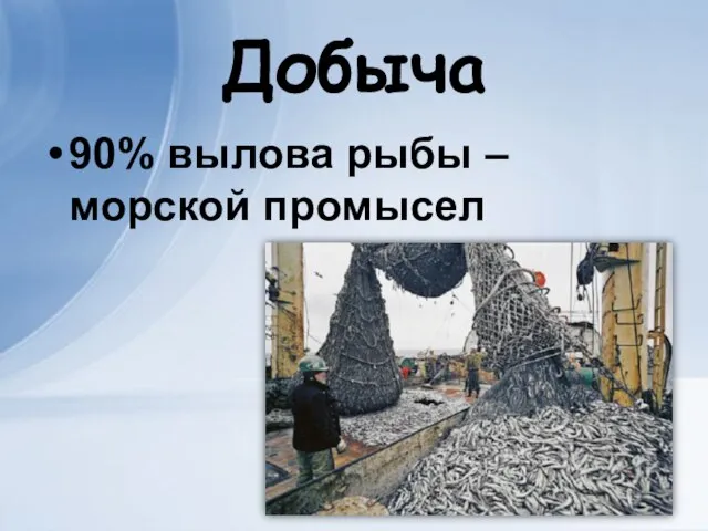 Добыча 90% вылова рыбы – морской промысел