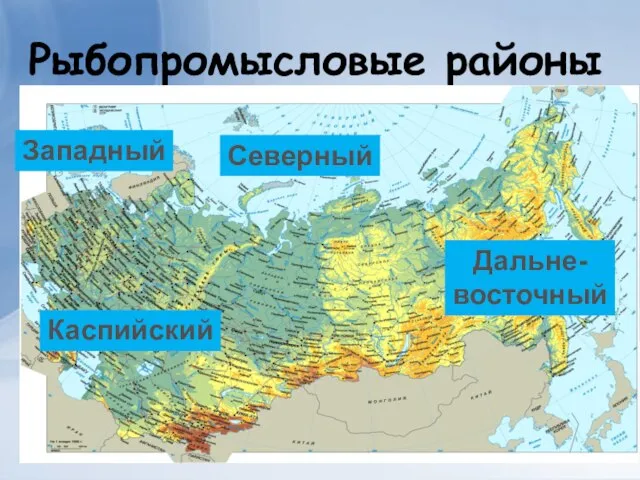 Рыбопромысловые районы Северный Западный Дальне- восточный Каспийский