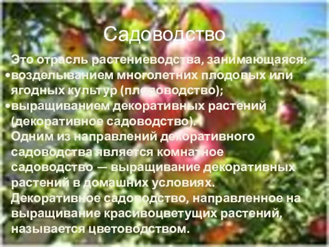 Садоводство Это отрасль растениеводства, занимающаяся: возделыванием многолетних плодовых или ягодных культур (плодоводство);