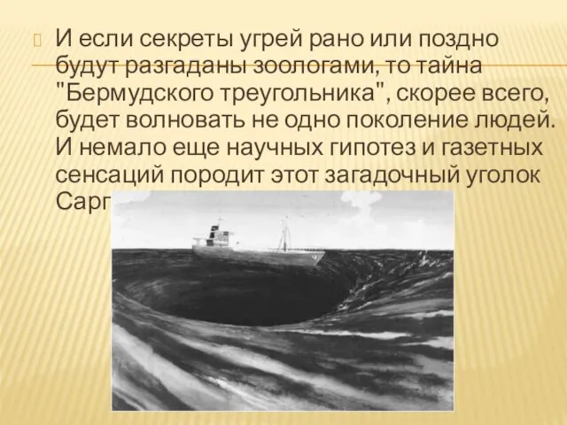 И если секреты угрей рано или поздно будут разгаданы зоологами, то тайна