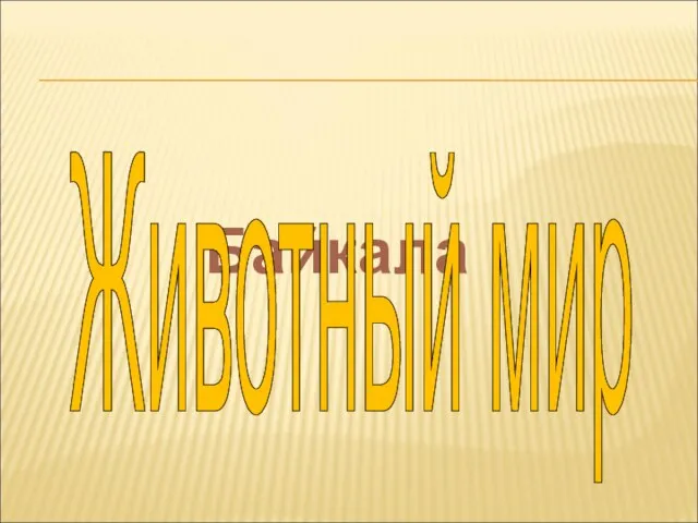 Байкала Животный мир