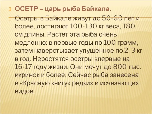 ОСЕТР – царь рыба Байкала. Осетры в Байкале живут до 50-60 лет