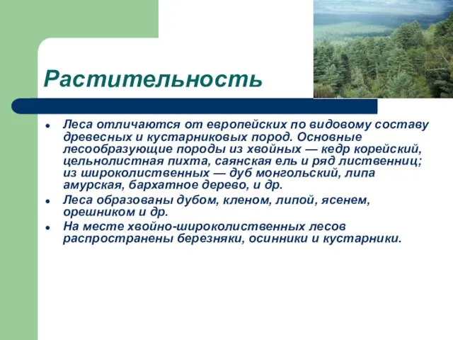 Растительность Леса отличаются от европейских по видовому составу древесных и кустарниковых пород.