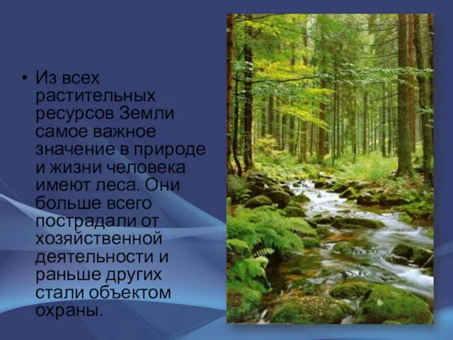 Из всех растительных ресурсов Земли самое важное значение в природе и жизни