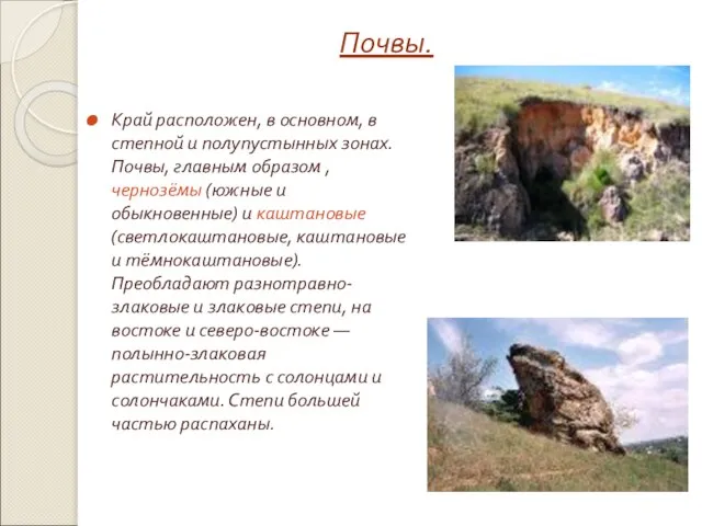 Почвы. Край расположен, в основном, в степной и полупустынных зонах. Почвы, главным