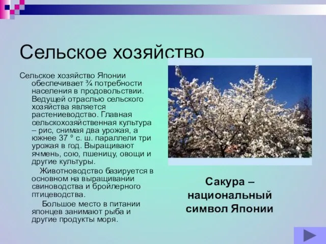 Сельское хозяйство Сельское хозяйство Японии обеспечивает ¾ потребности населения в продовольствии. Ведущей