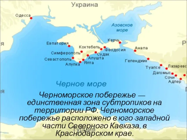 Черноморское побережье — единственная зона субтропиков на территории РФ. Черноморское побережье расположено