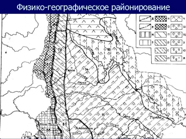 Физико-географическое районирование