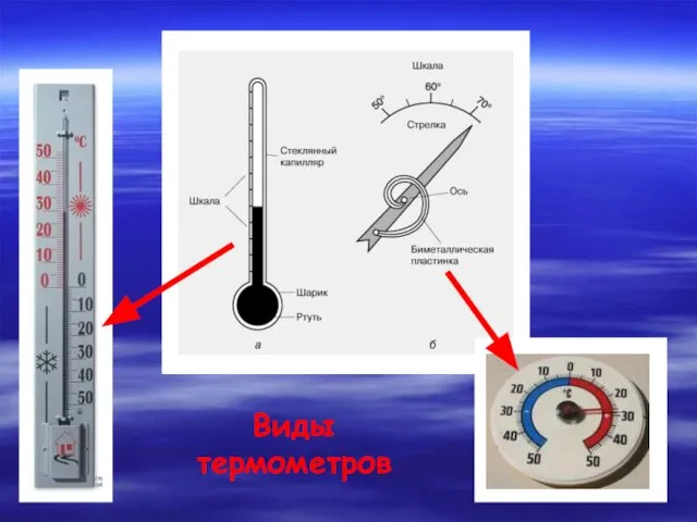 Виды термометров
