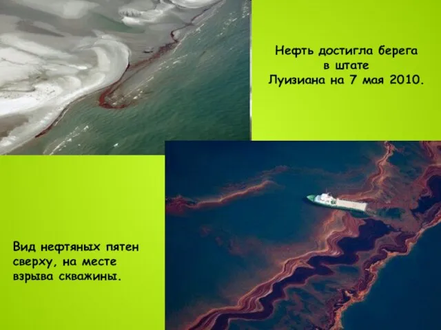 Нефть достигла берега в штате Луизиана на 7 мая 2010. Вид нефтяных