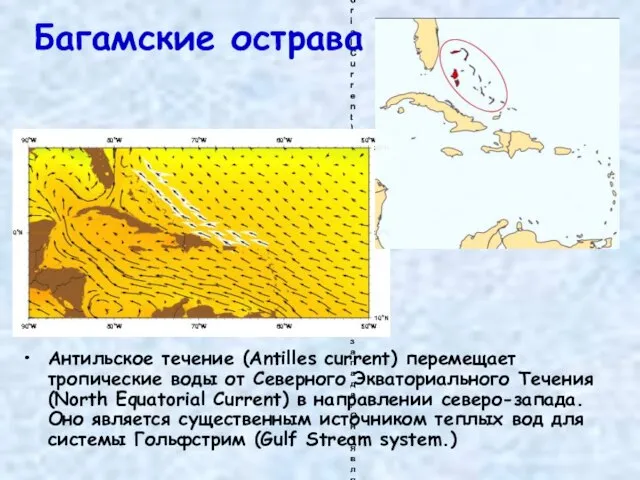 Антильское течение (Antilles current) перемещает тропические воды от Северного Экваториального Течения (North