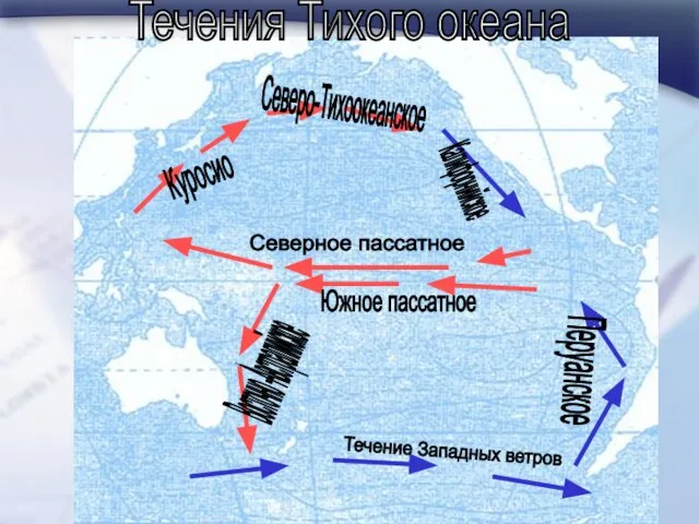 Течения Тихого океана Куросио Калифорнийское Восточно -Австралийское Перуанское Северо-Тихоокеанское Северное пассатное Течение Западных ветров Южное пассатное