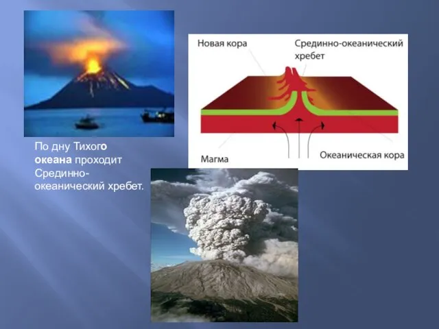 По дну Тихого океана проходит Срединно-океанический хребет.