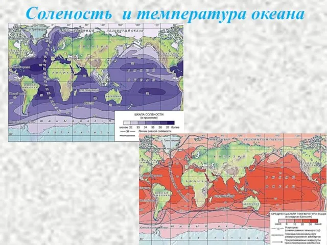 Соленость и температура океана