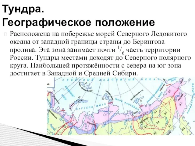 Расположена на побережье морей Северного Ледовитого океана от западной границы страны до