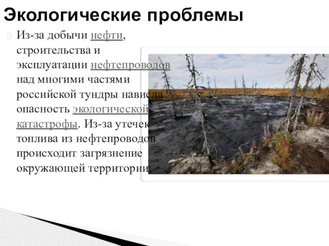 Из-за добычи нефти, строительства и эксплуатации нефтепроводов над многими частями российской тундры