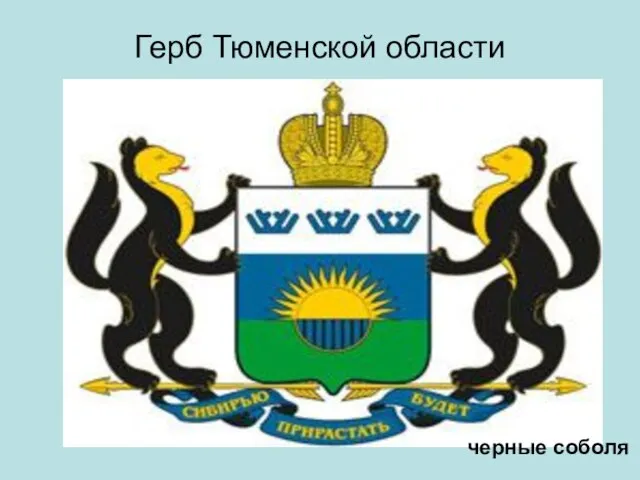 Герб Тюменской области черные соболя