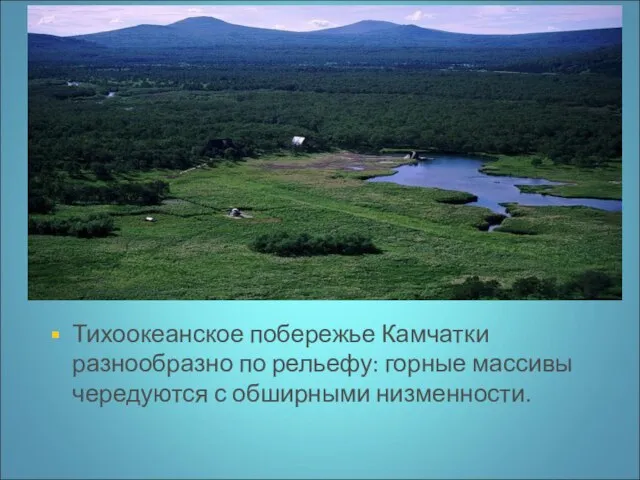 Тихоокеанское побережье Камчатки разнообразно по рельефу: горные массивы чередуются с обширными низменности.