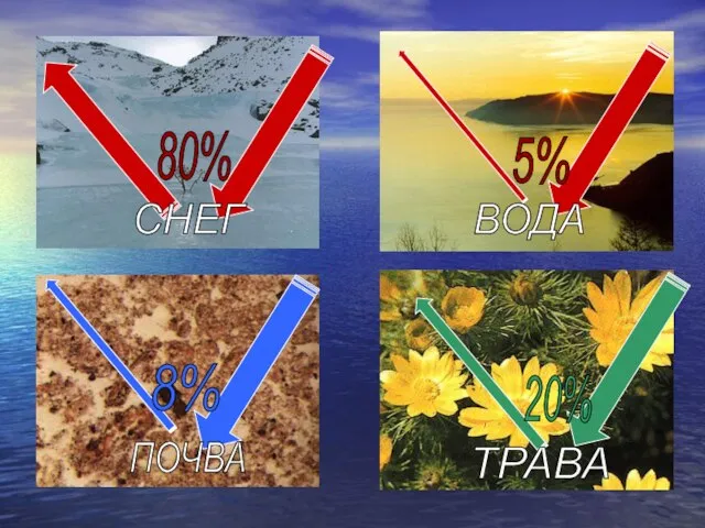 80% 5% 8% 20% СНЕГ ВОДА ПОЧВА ТРАВА