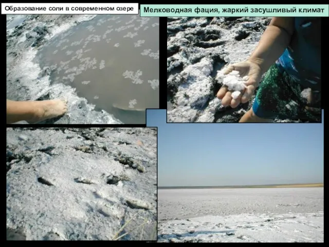 Образование соли в современном озере Мелководная фация, жаркий засушливый климат