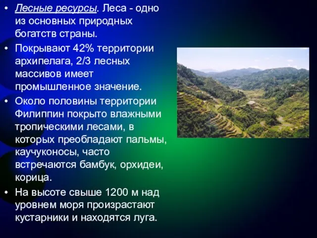 Лесные ресурсы. Леса - одно из основных природных богатств страны. Покрывают 42%