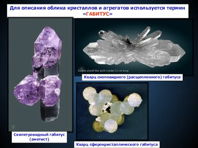Для описания облика кристаллов и агрегатов используется термин «ГАБИТУС» Скипетровидный габитус (аметист)