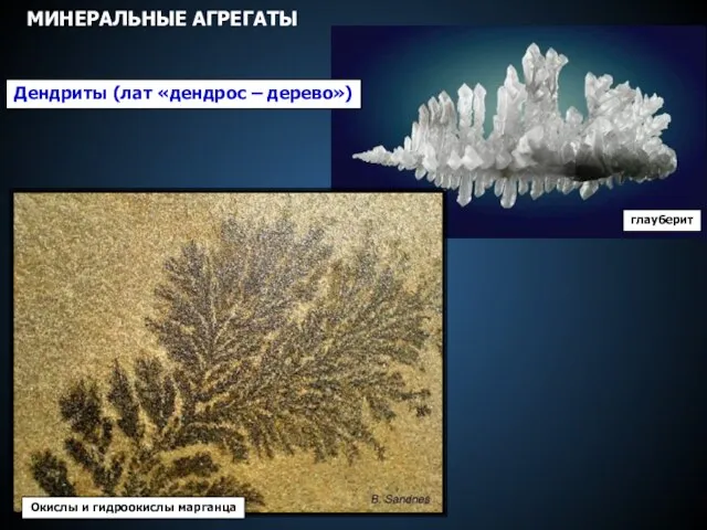 Дендриты (лат «дендрос – дерево») Окислы и гидроокислы марганца глауберит МИНЕРАЛЬНЫЕ АГРЕГАТЫ