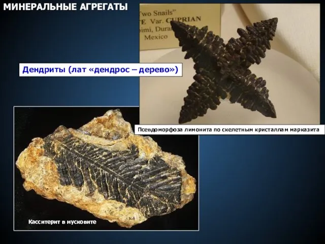 Касситерит в мусковите Псевдоморфоза лимонита по скелетным кристаллам марказита Дендриты (лат «дендрос – дерево») МИНЕРАЛЬНЫЕ АГРЕГАТЫ