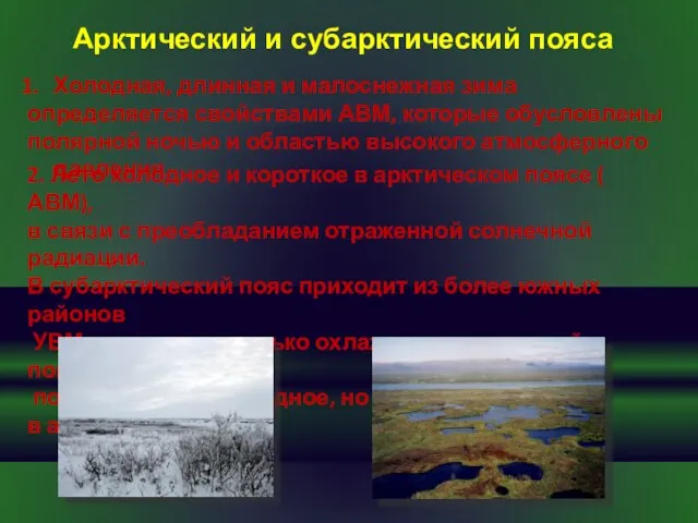 Холодная, длинная и малоснежная зима определяется свойствами АВМ, которые обусловлены полярной ночью