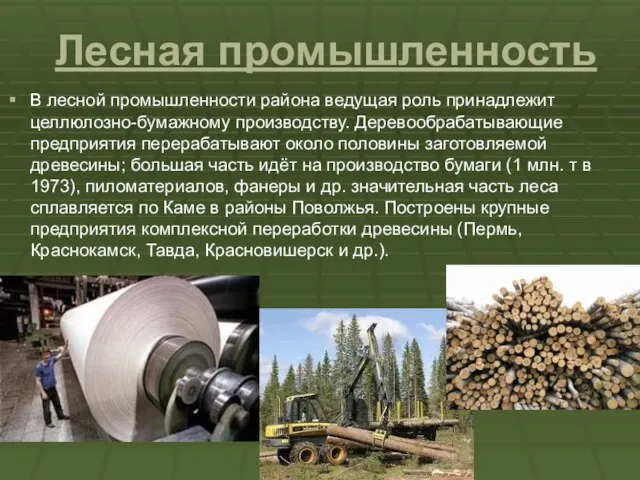 Лесная промышленность В лесной промышленности района ведущая роль принадлежит целлюлозно-бумажному производству. Деревообрабатывающие