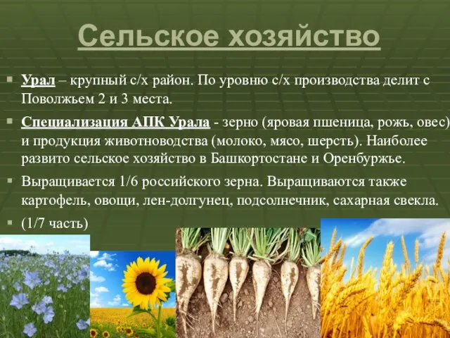 Сельское хозяйство Урал – крупный с/х район. По уровню с/х производства делит