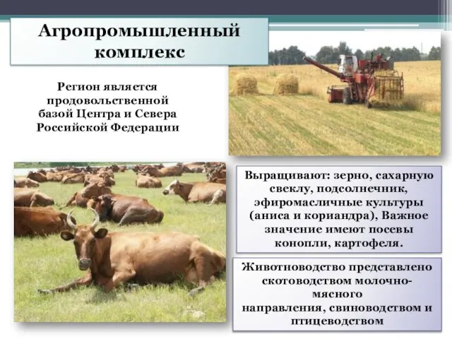 Агропромышленный комплекс Регион является продовольственной базой Центра и Севера Российской Федерации Животноводство