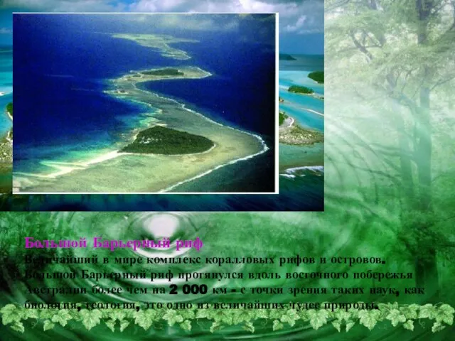 Большой Барьерный риф Величайший в мире комплекс коралловых рифов и островов. Большой