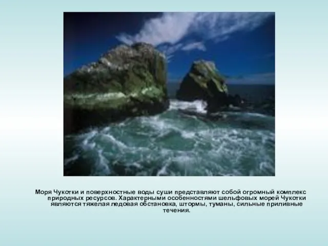 Моря Чукотки и поверхностные воды суши представляют собой огромный комплекс природных ресурсов.